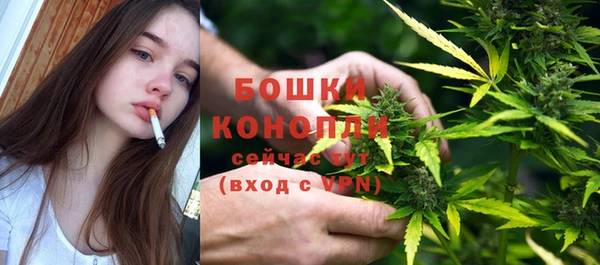 дживик Семикаракорск