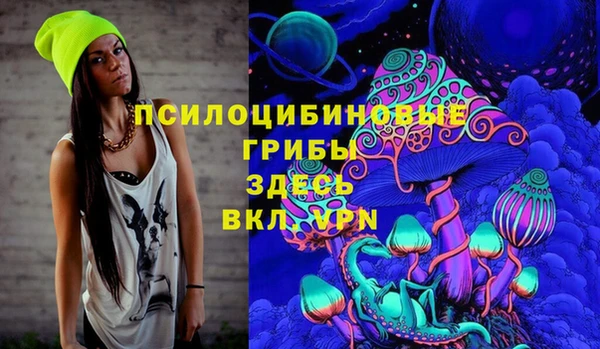 дживик Семикаракорск