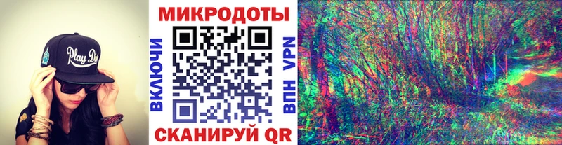 Псилоцибиновые грибы Psilocybe Теберда